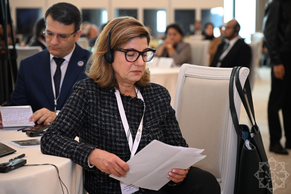 İtkin düşmüş şəxslərlə bağlı Bakı Dialoqu formatında IV beynəlxalq konfrans işə başlayıb<font color='red'> - YENİLƏNİB</font><font color=red> - FOTOLAR</font>