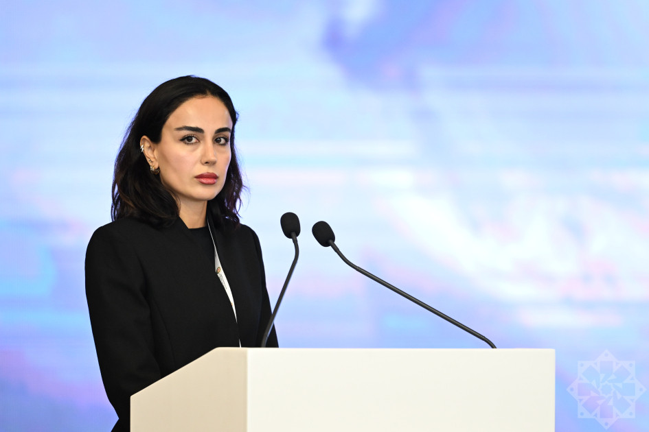İtkin düşmüş şəxslərlə bağlı Bakı Dialoqu formatında IV beynəlxalq konfrans işə başlayıb<font color='red'> - YENİLƏNİB</font><font color=red> - FOTOLAR</font>