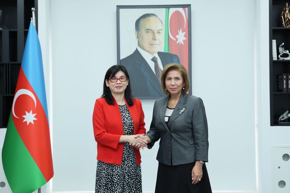 Azərbaycan BMT-nin Qadınlar üzrə Agentliyi ilə əlaqələri genişləndirir<font color=red> - FOTOLAR</font>