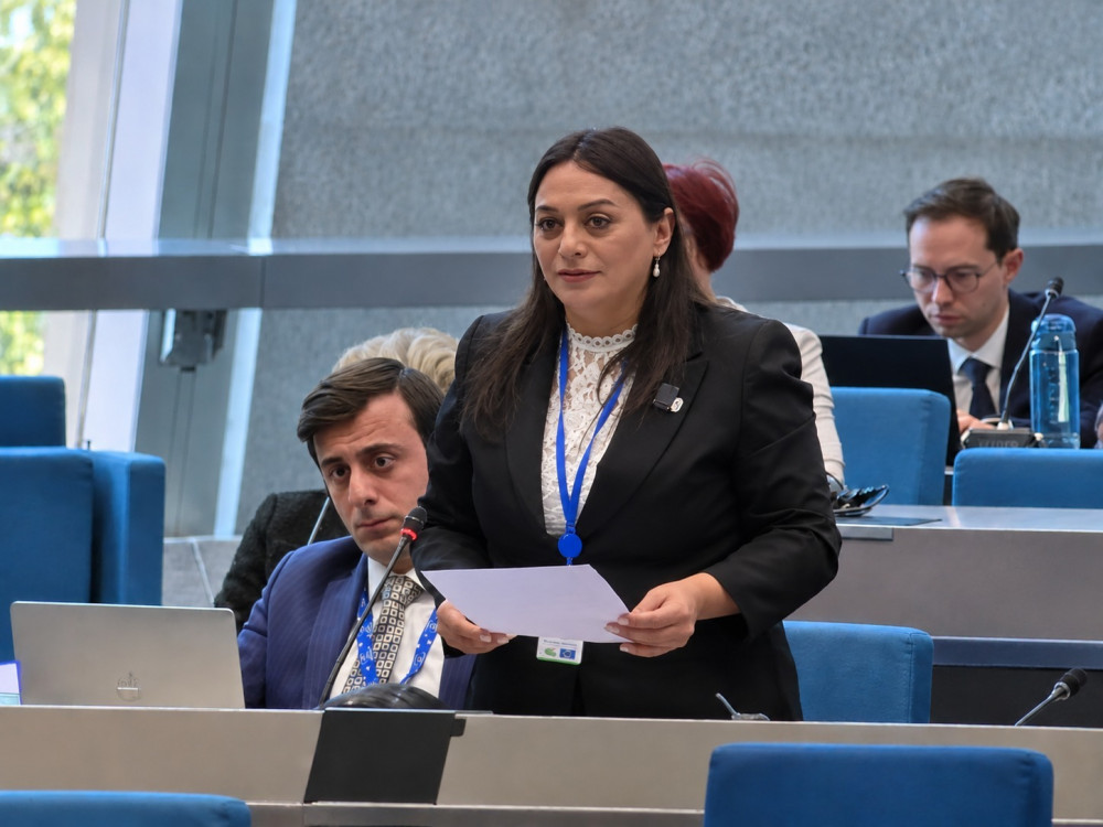 Ali Məclisin deputatı Avropa Şurası Yerli və Regional  Hakimiyyətlər Konqresinin Regionlar Palatasının  vitse-prezidenti seçilib<font color=red> - FOTOLAR</font>