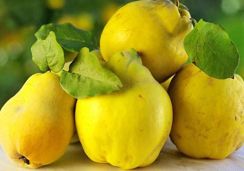 1001 dərdin dərmanı - heyva