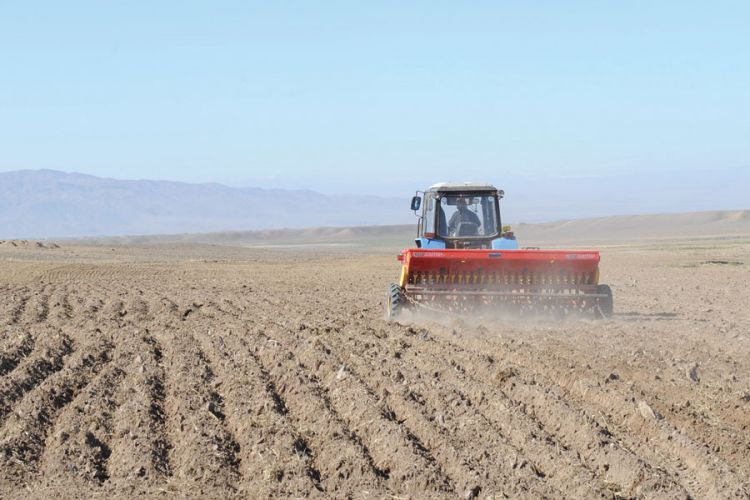 İkinci ilaxır çərşənbə – Torpaq çərşənbəsi