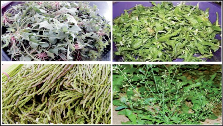 Yurdumuzun yaz nemətləri