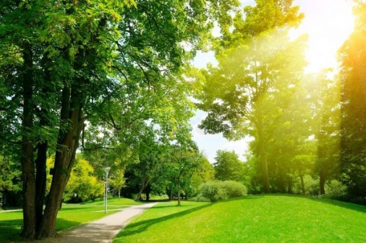Naxçıvanda sabaha olan hava proqnozu