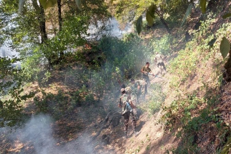 FHN: Qəbələ, Oğuz və Zaqatalada yanğınlar davam edir
