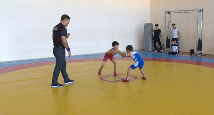 Sərbəst güləş üzrə Naxçıvan şəhər açıq birinciliyi keçirilib<font color=red> - FOTOLAR</font>