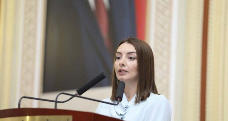 Azərbaycan XİN-in sözçüsü: "Ermənistan müharibədən sonrakı reallıqları qəbul etmək istəmir"