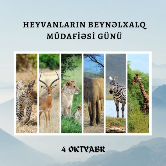 Bu gün Heyvanların Beynəlxalq Müdafiəsi Günüdür