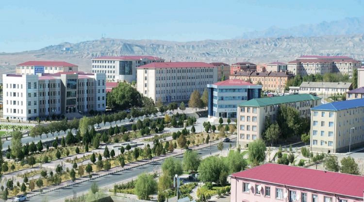 NDU-nun Tələbə Gənclər Təşkilatı üzvlərinin 4 layihəsinə qrant ayrılıb