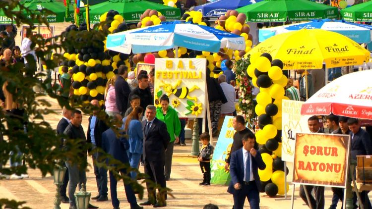 Naxçıvanda keçirilən "Arıçılıq məhsulları-bal festivalı”nın videotəqdimatı<font color=red> - VİDEO</font>