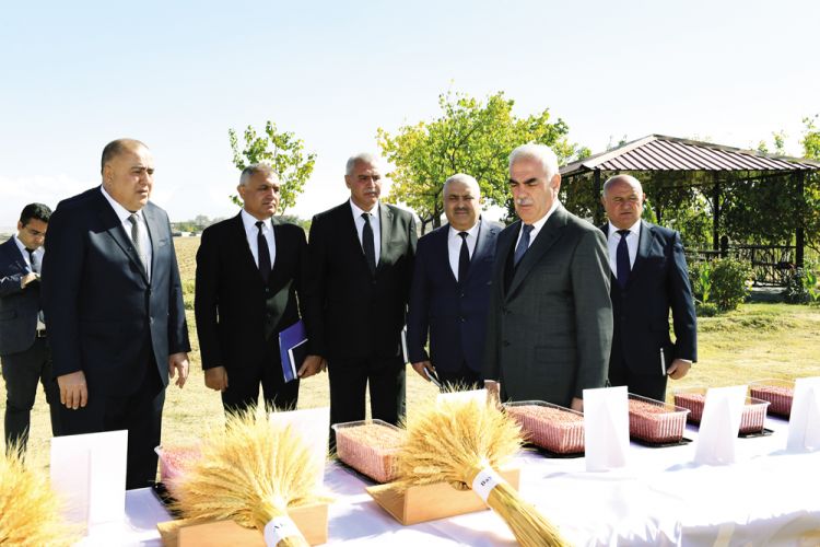 Naxçıvanda payızlıq taxıl əkini ilə bağlı səyyar müşavirə keçirilib<font color=red> - FOTOLAR</font>