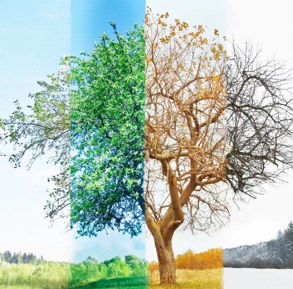 2023-cü ildə fəsillərin Azərbaycana daxilolma vaxtları açıqlanıb