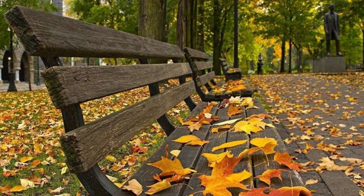 Naxçıvanda sabaha olan hava proqnozu