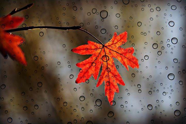 Hava qeyri-sabit keçəcək, yağış yağacaq<font color='red'> - XƏBƏRDARLIQ</font>