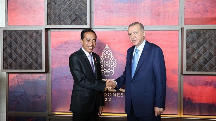 Türkiyə və İndoneziya prezidentləri görüşüblər
