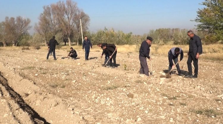 Şərurun bələdiyyə torpaqlarında yeni meyvə bağları salınıb<font color=red> - FOTOLAR</font>
