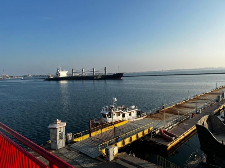İki gündə Odessa limanlarından taxıl yüklü 9 gəmi yola salınıb