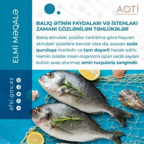 Balıq ətinin faydaları və istehlakı zamanı gözlənilən təhlükələr