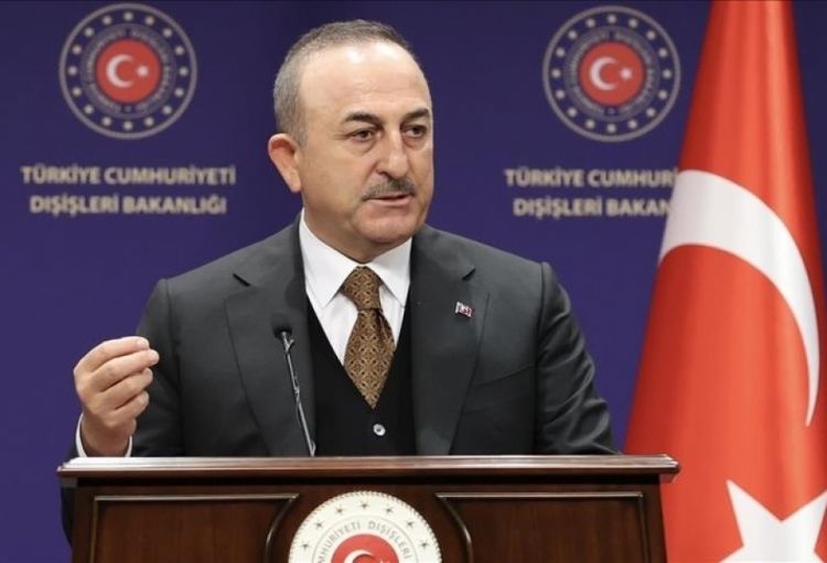 İsveçin xarici işlər naziri Türkiyəyə səfər edib
