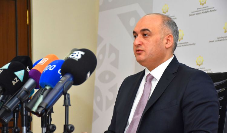 Himalay Məmişov: Müraciətlər olarsa, Naxçıvanda da VƏM yaradıla bilər