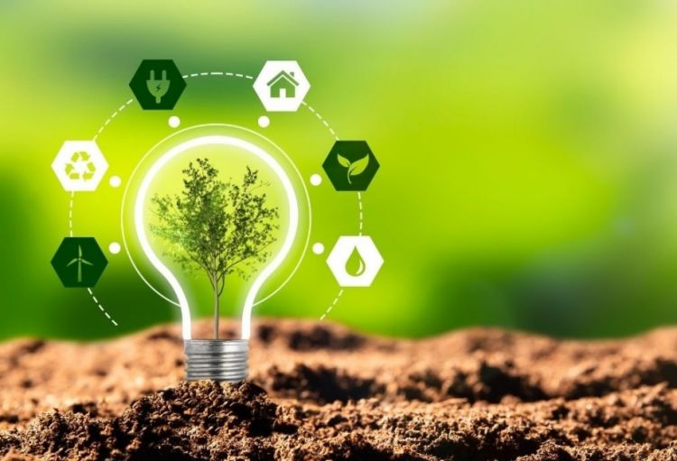 “Yaşıl enerji” 2025-ci ildə ən böyük elektrik enerjisi mənbəyi olacaq