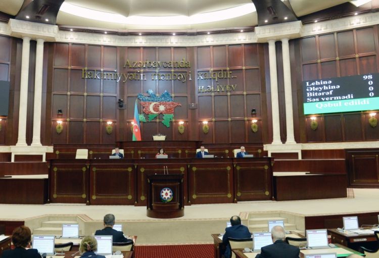 Milli Məclis Həmrəylik Günü münasibətilə müraciət edib