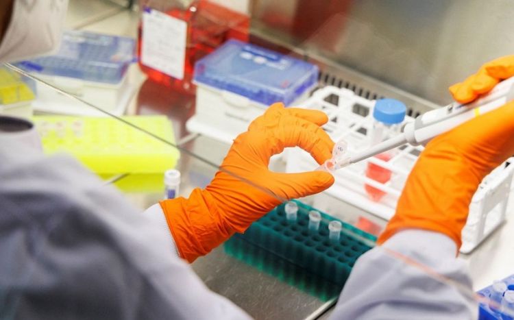 Koronavirusun “Super Variant” ştamı pandemiyanın növbəti dalğasına səbəb ola bilər