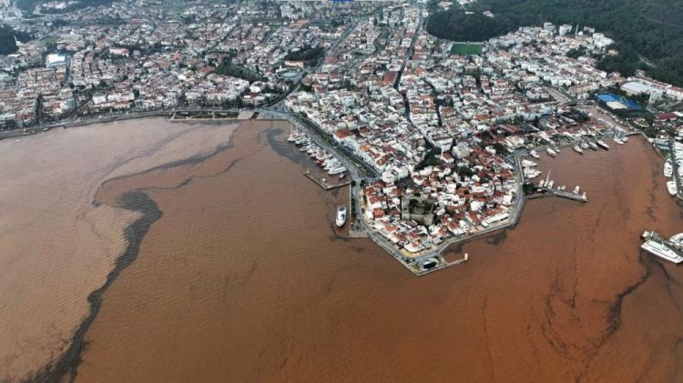 Marmarisdə dəniz suyu anidən qəhvəyi rəngə boyanıb