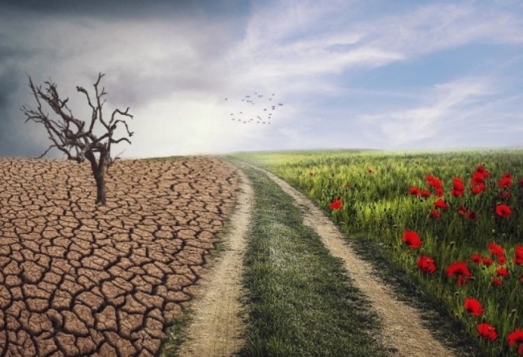 Süni intellekt: 10-12 ildən sonra iqlim kritik istiləşmə həddinə çatacaq
