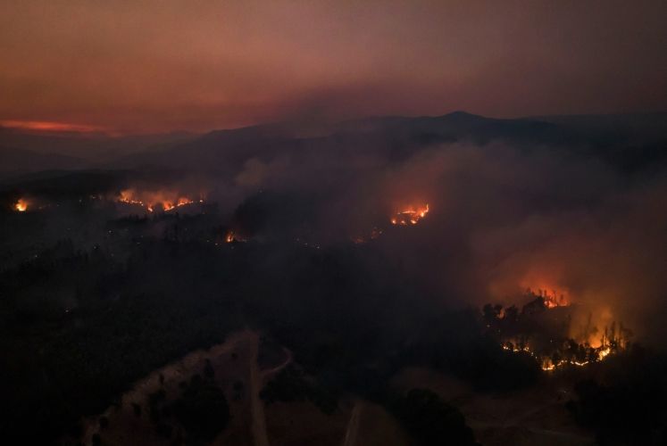 Çilidə meşə yanğınları 23 insanın ölümünə səbəb olub