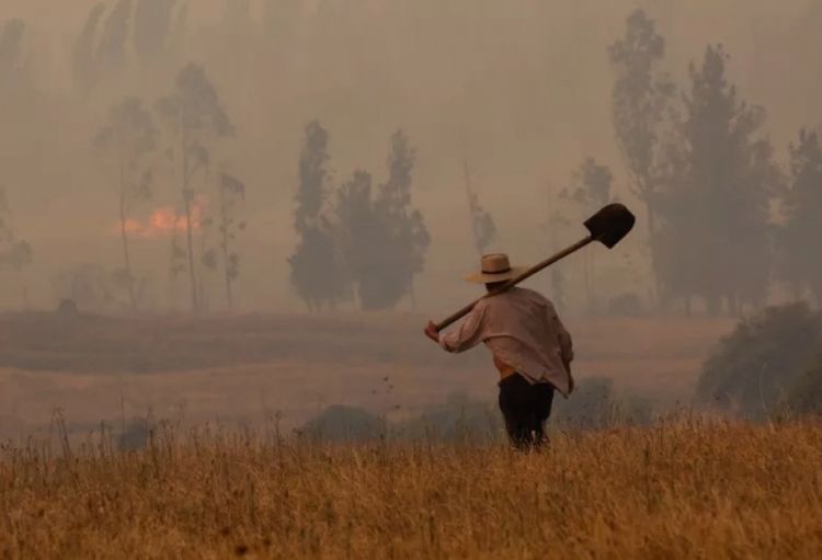 Çilidə meşə yanğınları tüğyan edir