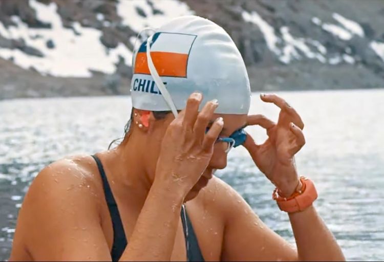 Çilili üzgüçü Antarktida sularında 2490 metr üzərək rekorda imza atıb