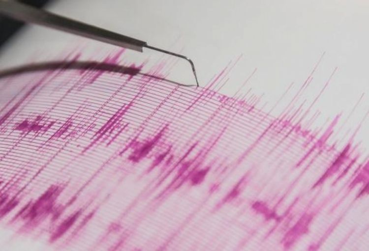 Malatyada 4,9 bal gücündə zəlzələ baş verib