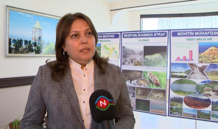 Muxtar respublikanın su ehtiyatları qiymətləndirilir<font color=red> - VİDEO</font>