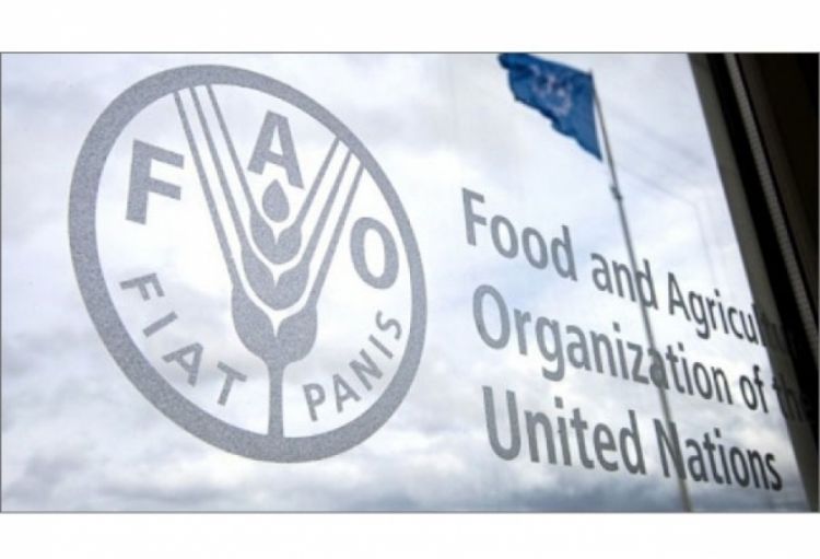 FAO: Zəlzələlərdən sonra Türkiyədəki fermerlərin 25 milyon dollar yardıma ehtiyacı var