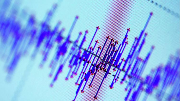 Əfqanıstanda 5,5 maqnitudalı zəlzələ olub