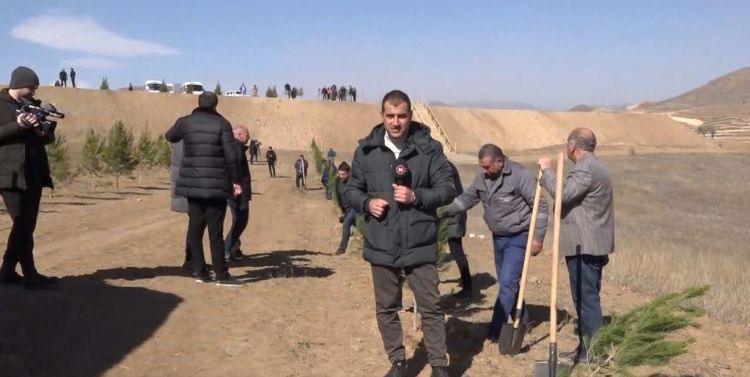 NTV əməkdaşları Cəbrayılda ağacəkmə aksiyasına qoşulub<font color=red> - VİDEO</font>