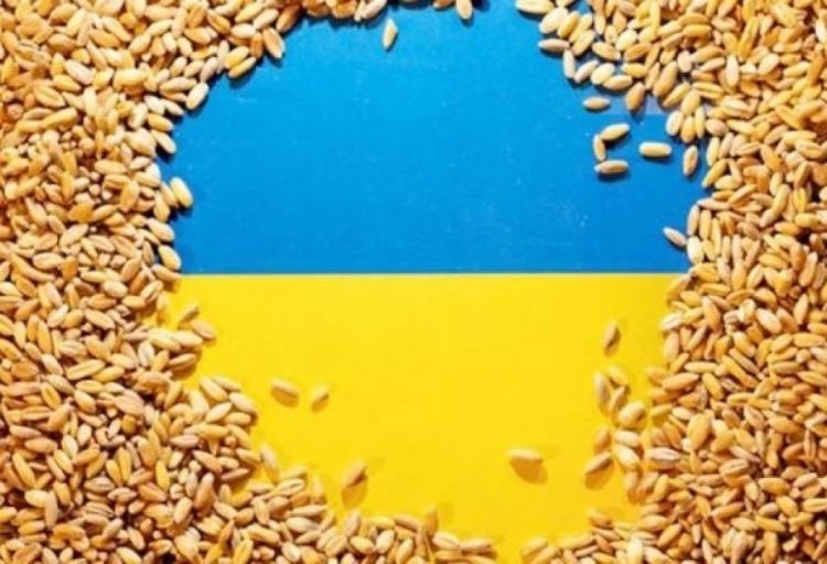 Ukrayna taxıl daşıma müqaviləsini uzatmaq üçün BMT və Türkiyəyə təklif göndərib