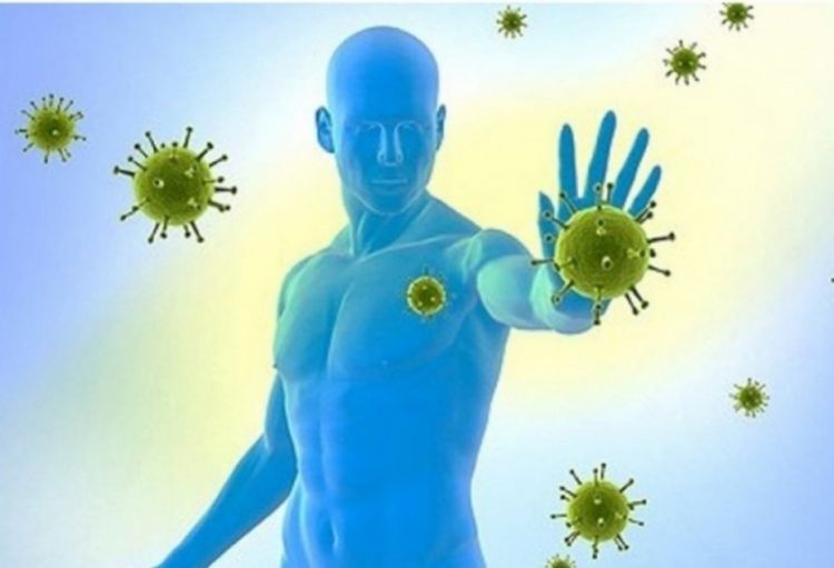 Martın 1-i Ümumdünya İmmunitet Günüdür