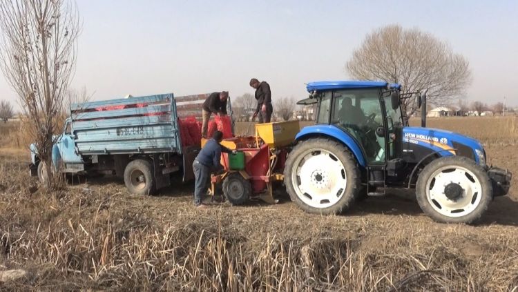 Şərurda kartof əkinlərinə başlanılıb <font color=red> - FOTOLAR</font>