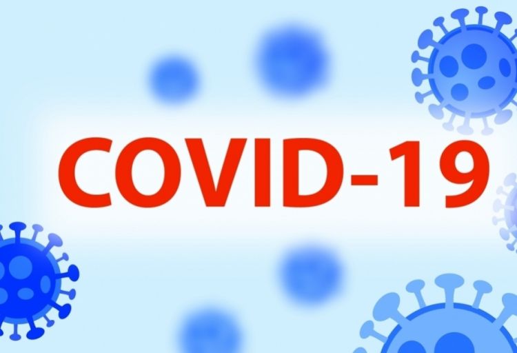 ÜST: Dörd həftədə dünyada koronavirusdan ölüm hallarının sayı 66 faiz azalıb