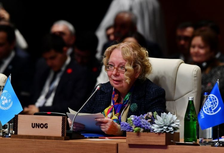 BMT-nin Cenevrədəki bölməsinin baş direktoru Azərbaycanın təşəbbüslərini təqdir edib