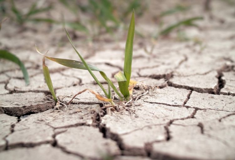Avropa su böhranı ilə üz-üzədir