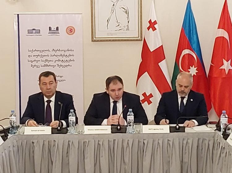 Tbilisidə Azərbaycan, Gürcüstan və Türkiyə parlamentlərinin Xarici əlaqələr komitələrinin 8-ci görüşü olub