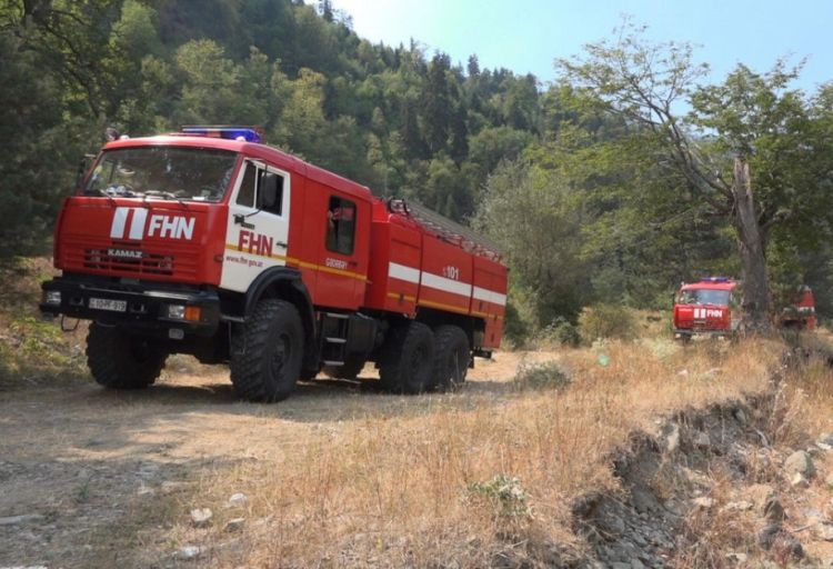 Astara rayonunda baş vermiş yanğınlar söndürülüb