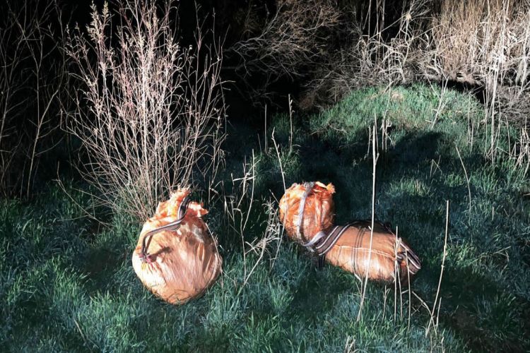 İrandan Azərbaycana 61 kq narkotik keçirilməsinin qarşısı alınıb<font color=red> - FOTOLAR</font>