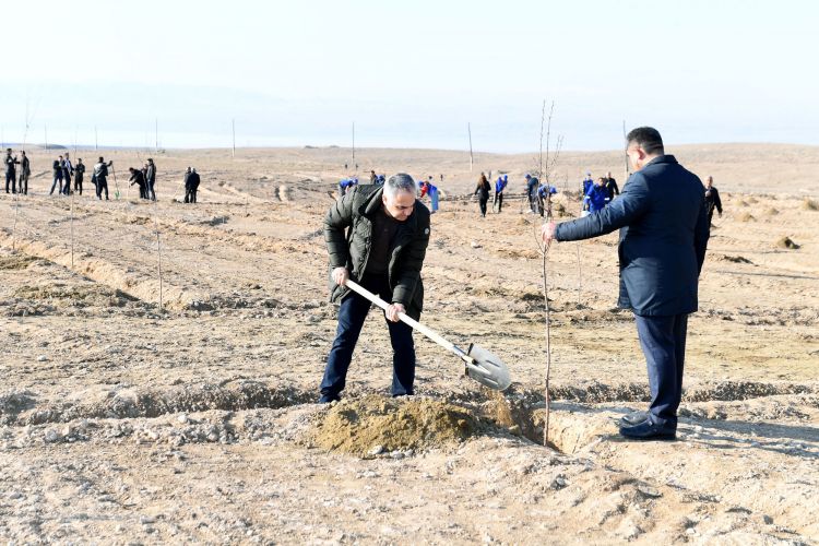 Naxçıvanda Ümummilli Lider Heydər Əliyevin 100 illiyinə həsr olunmuş könüllü ağacəkmə aksiyası keçirilib<font color=red> - FOTOLAR</font>