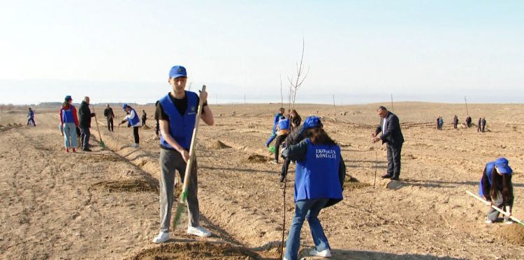 Naxçıvanda ümummilli liderin xatirəsinə yeni yaşıllıqlar salınıb<font color=red> - VİDEO</font>