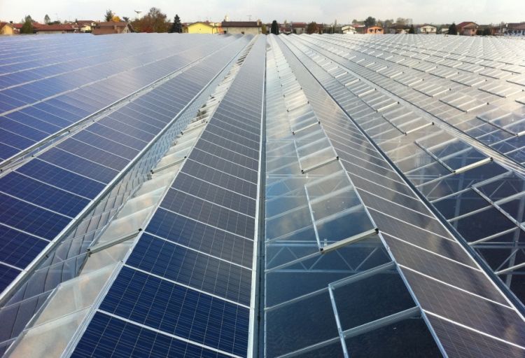 Tokio hava limanında ən böyük günəş paneli quraşdırılacaq