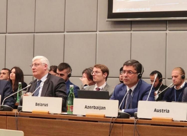 Azərbaycan ATƏT-in insan ölçüsü üzrə birinci əlavə görüşündə təmsil olunur<font color=red> - FOTOLAR</font>